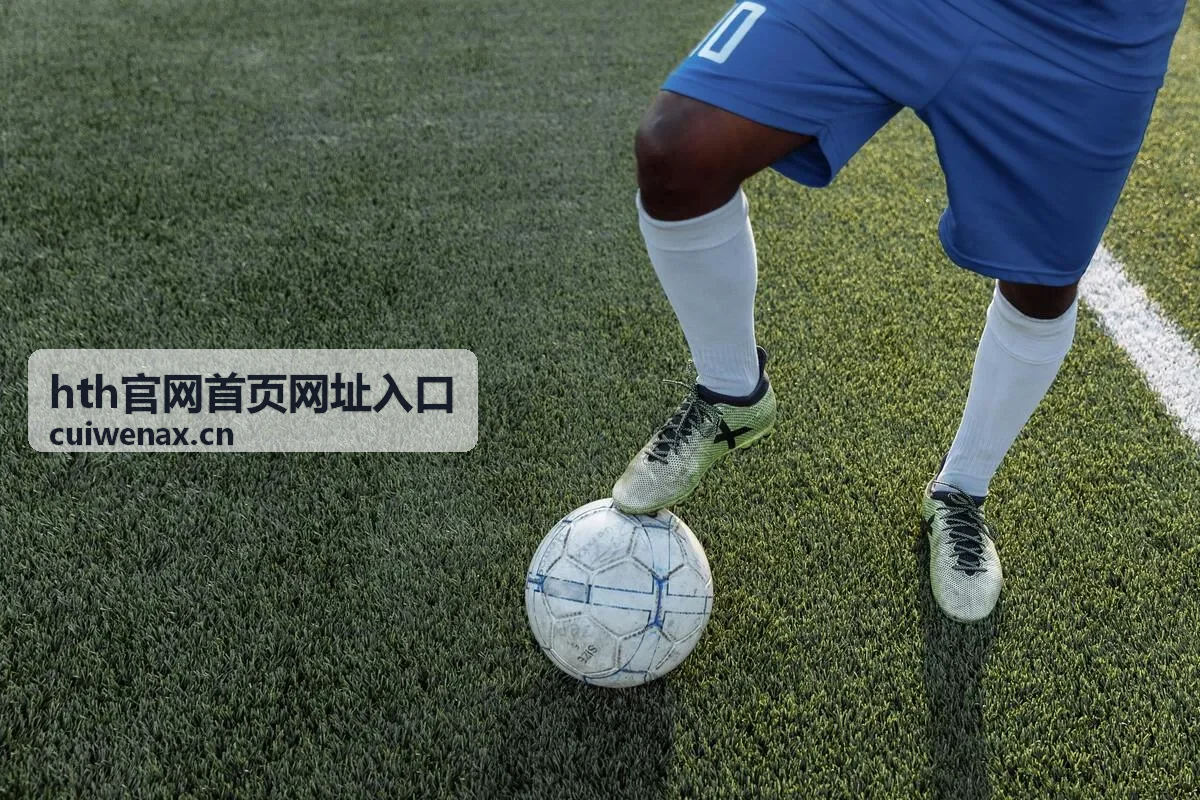 hth官网访问渠道说明封面