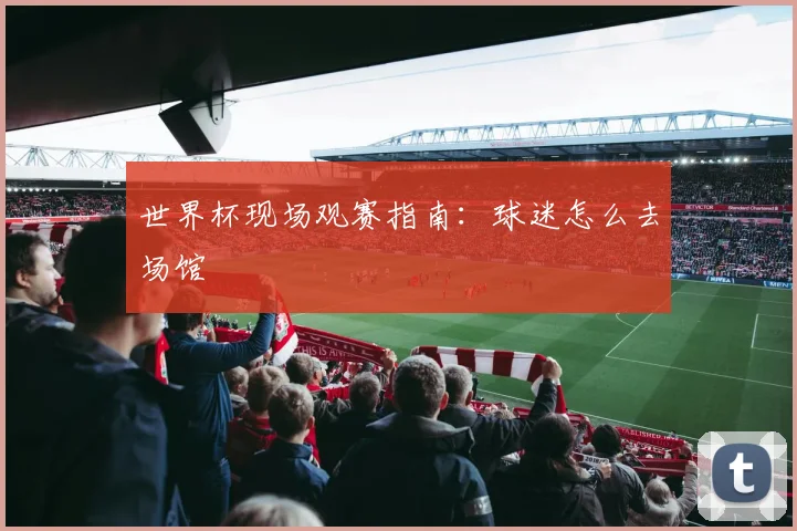 世界杯现场观赛指南：球迷怎么去场馆
